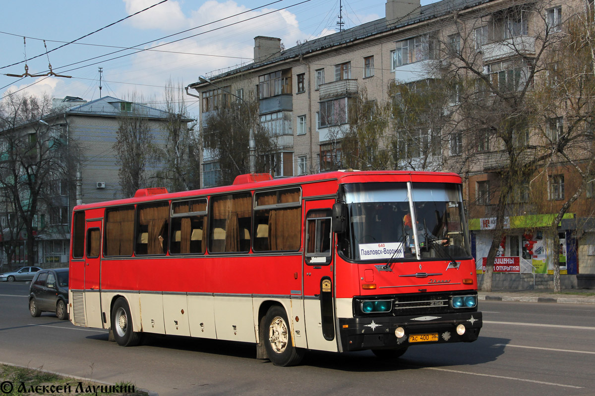 Автобусы воронеж павловск сегодня. Икарус 250.95. Икарус 250.59. Ikarus 250.95. Икарус 259.