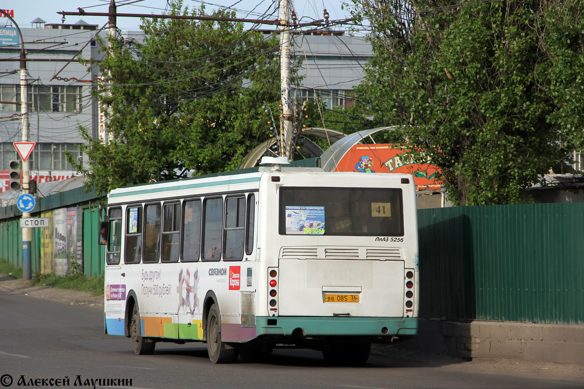 Obwód woroneski, LiAZ-5256.36 Nr ВВ 085 36