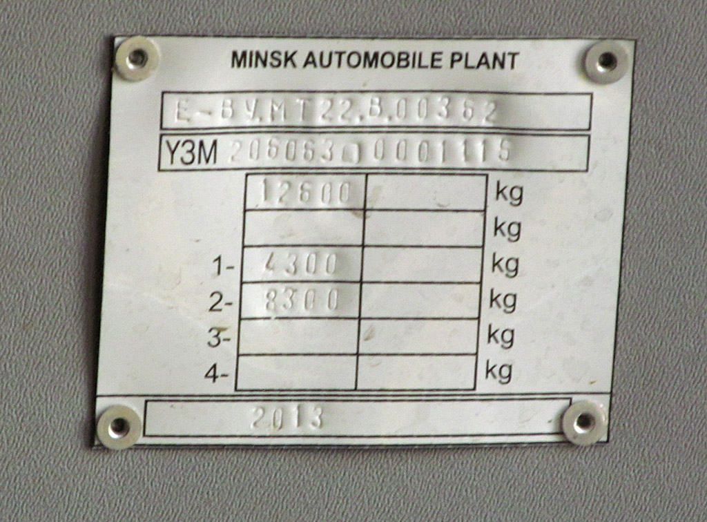 Самарская область, МАЗ-206.063 № 2