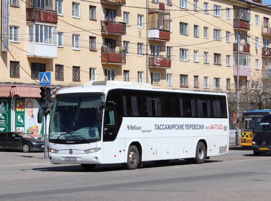 Yaroslavl region, Marcopolo Andare 1000 (GolAZ) (Hyundai) Nr. А 256 СН 76