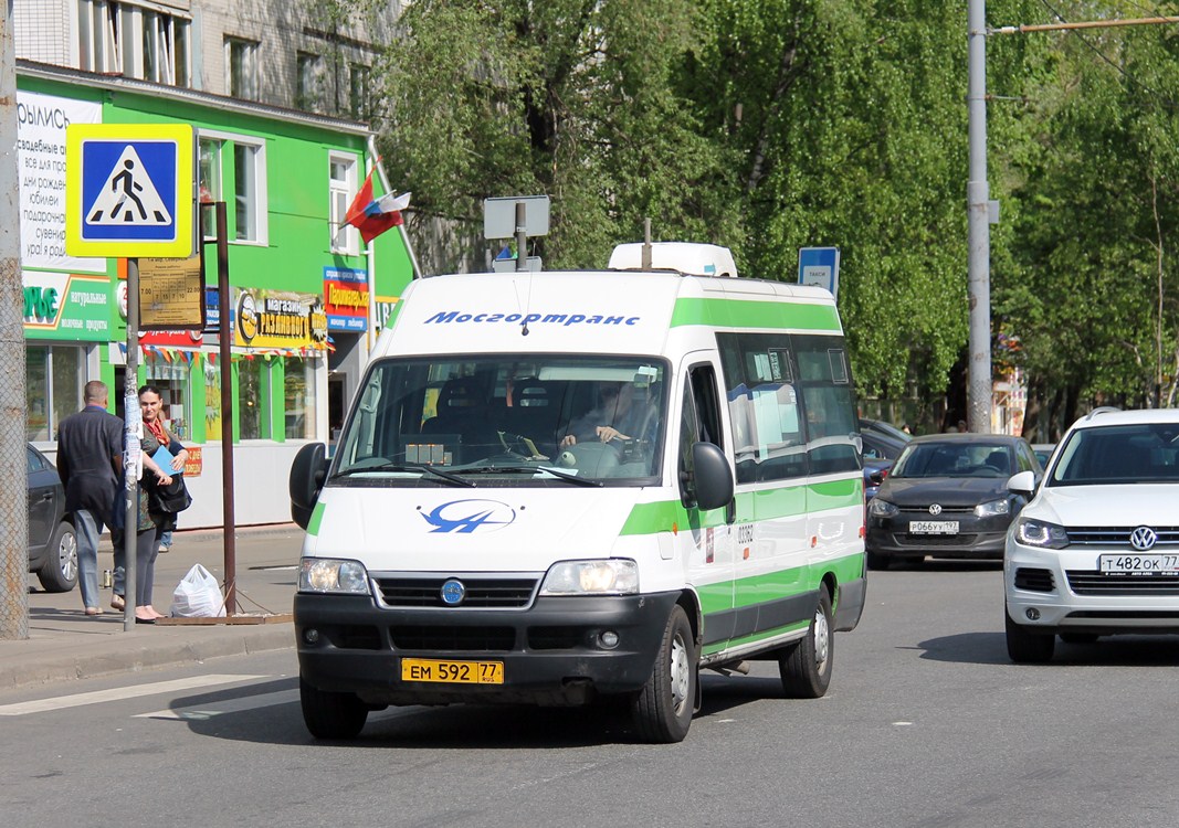 Москва, FIAT Ducato 244 CSMMC-RLL, -RTL № 03362