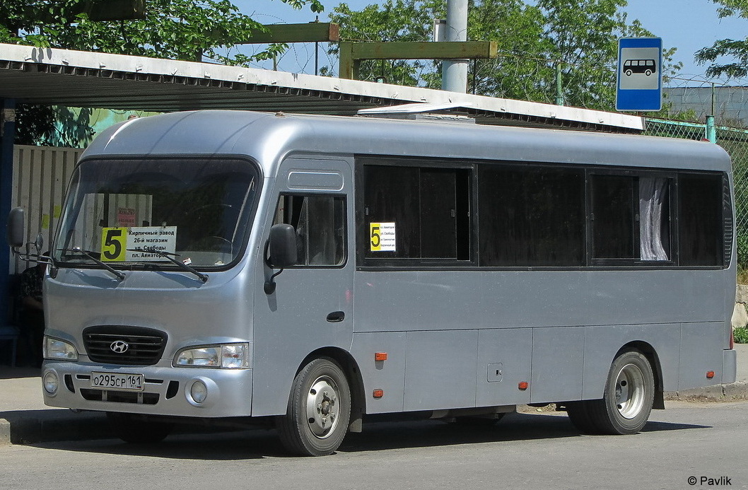 Ростовская область, Hyundai County LWB C09 (ТагАЗ) № О 295 СР 161