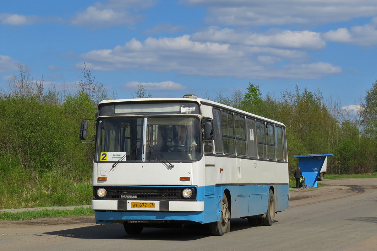 Ленинградская область, Ikarus 263.10 № АЕ 677 47