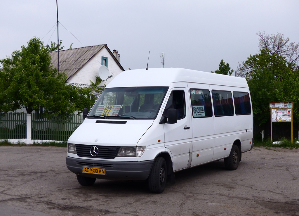 Днепропетровская область, Mercedes-Benz Sprinter W903 312D № AE 9300 AA