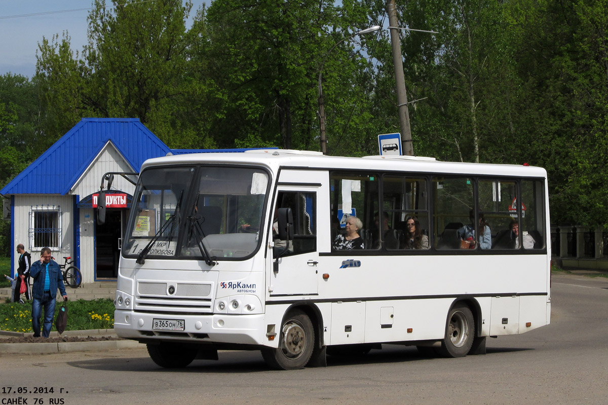 Ярославская область, ПАЗ-320402-05 № 242