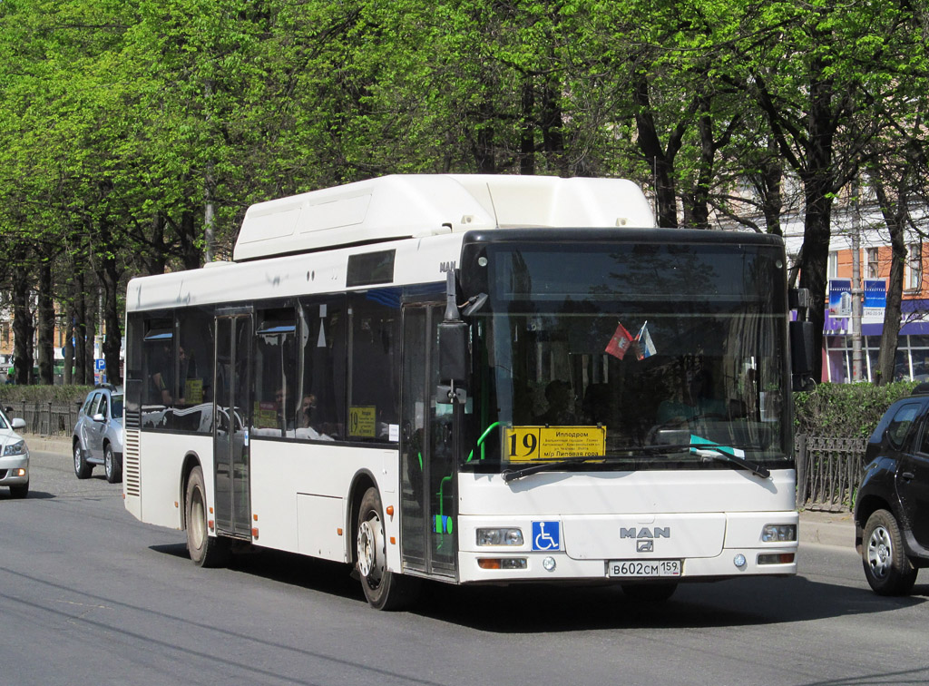 Пермский край, MAN A21 NL313 CNG № В 602 СМ 159