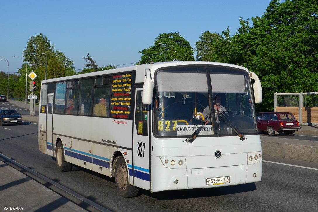 Расписание автобуса 462. Маршрутка 539. Автобус 827 Сестрорецк. Маршрут 539 маршрутки. 462 Автобус.