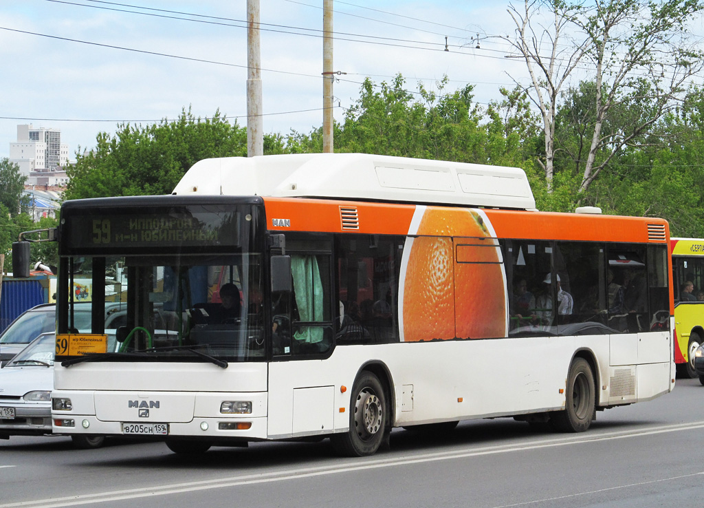 Пермский край, MAN A21 NL313 CNG № В 205 СН 159