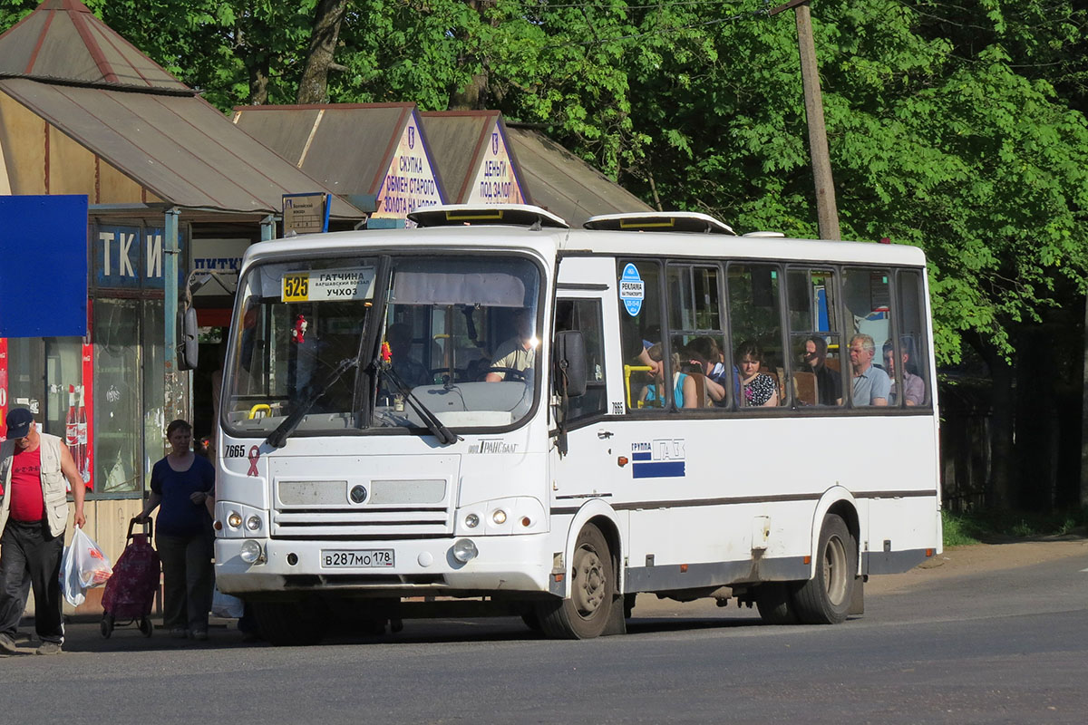 Ленинградская область, ПАЗ-320412-05 № 7665