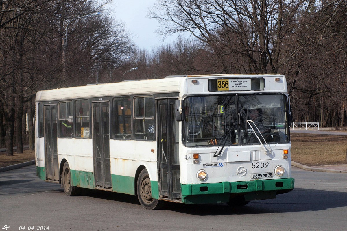 Санкт-Петербург, ЛиАЗ-5256.00 № 5239