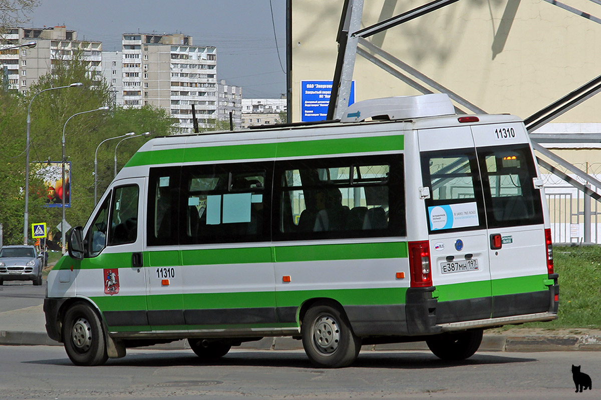 Москва, FIAT Ducato 244 CSMMC-RLL, -RTL № 11310