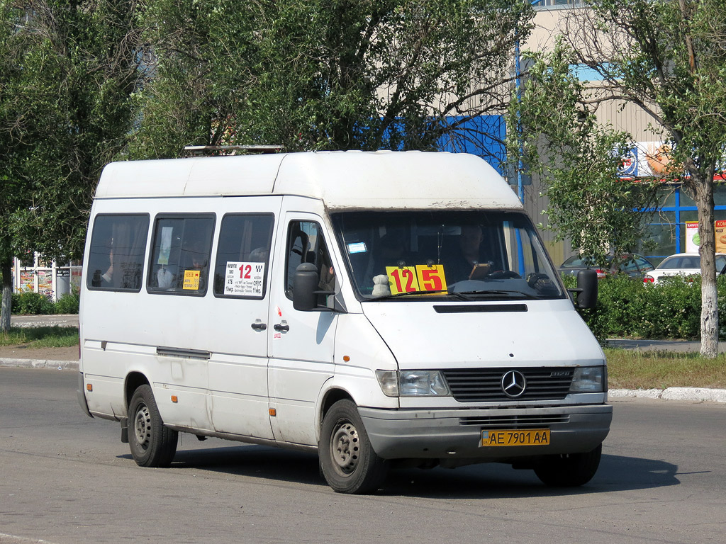 Днепропетровская область, Mercedes-Benz Sprinter W903 312D № AE 7901 AA