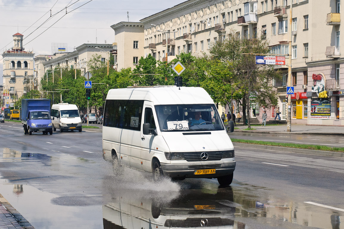 Запорожская область, Mercedes-Benz Sprinter W903 310D № AP 3089 AA