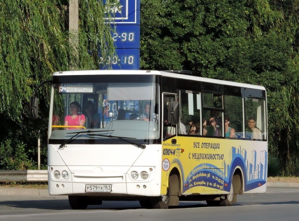 Ростовская область, Hyundai County Kuzbas HDU2 № 113