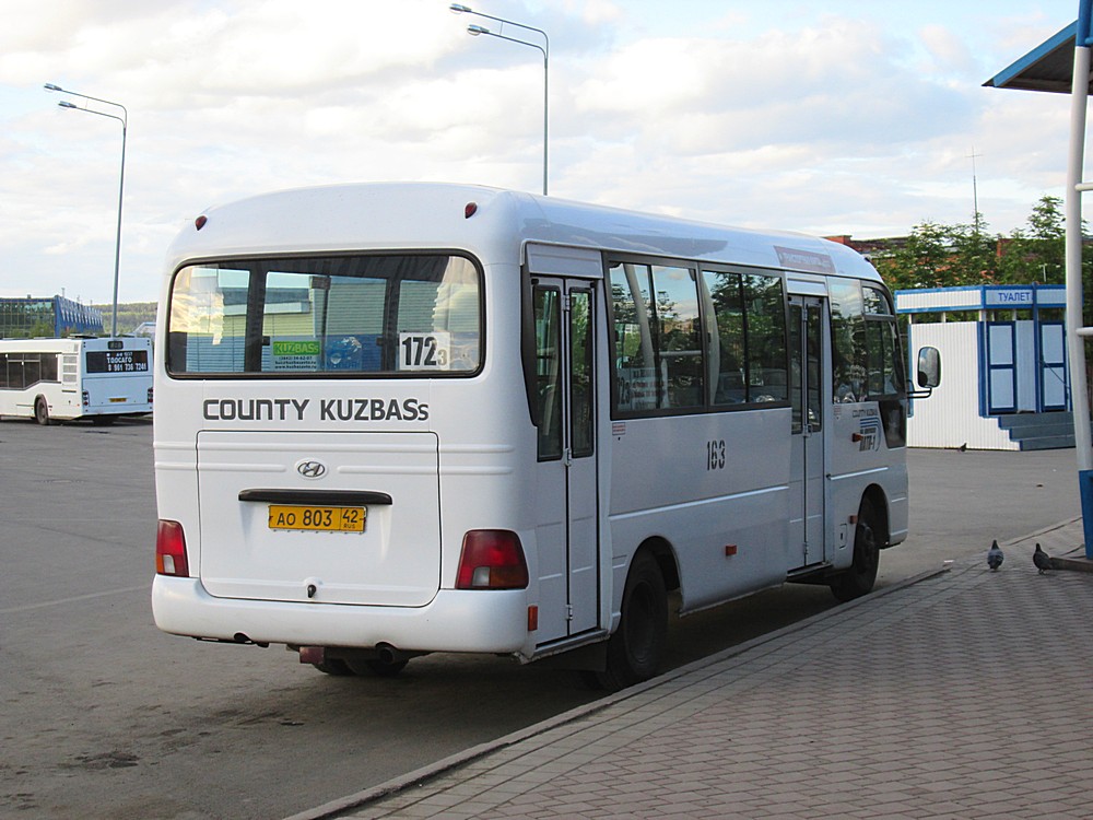 Кемеровская область - Кузбасс, Hyundai County Kuzbass № 163