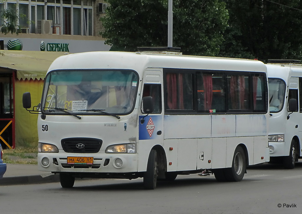 Ростовская область, Hyundai County LWB C09 (ТагАЗ) № 50