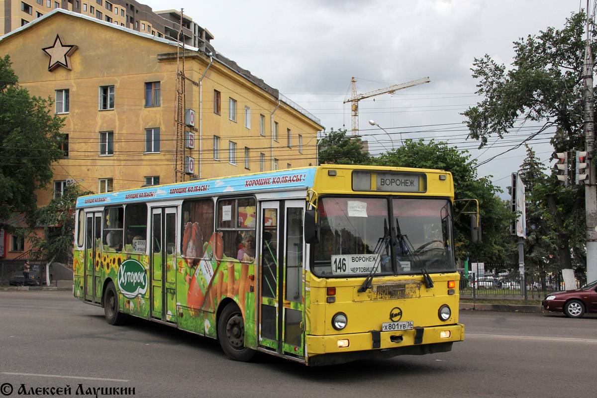 Воронежская область, ЛиАЗ-5256.30 № Х 801 УВ 36