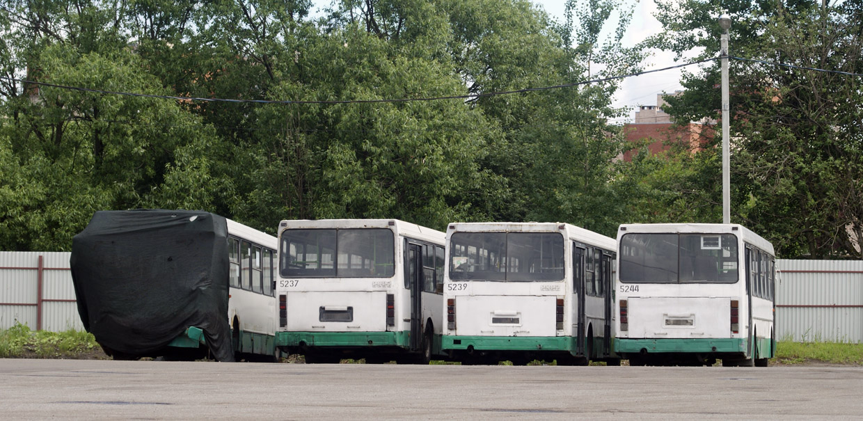 Санкт-Петербург, ЛиАЗ-5256.25 № 5297; Санкт-Петербург, ЛиАЗ-5256.25 № 5237; Санкт-Петербург, ЛиАЗ-5256.00 № 5239; Санкт-Петербург, ЛиАЗ-5256.00-11 № 5244; Санкт-Петербург — Автобусные парки и стоянки