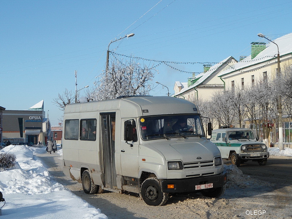 Витебская область, ЗиЛ-3250 № ВЕ 9285 — Фото — Автобусный транспорт