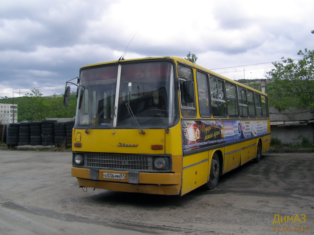 Murmansk region, Ikarus 263.01 # О 036 ММ 51