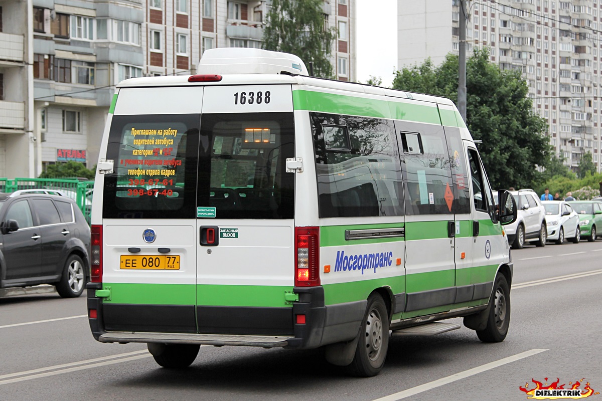 Москва, FIAT Ducato 244 CSMMC-RLL, -RTL № 16388