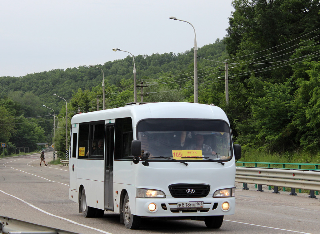 Краснодарский край, Hyundai County LWB (ТагАЗ) № К 818 МХ 161