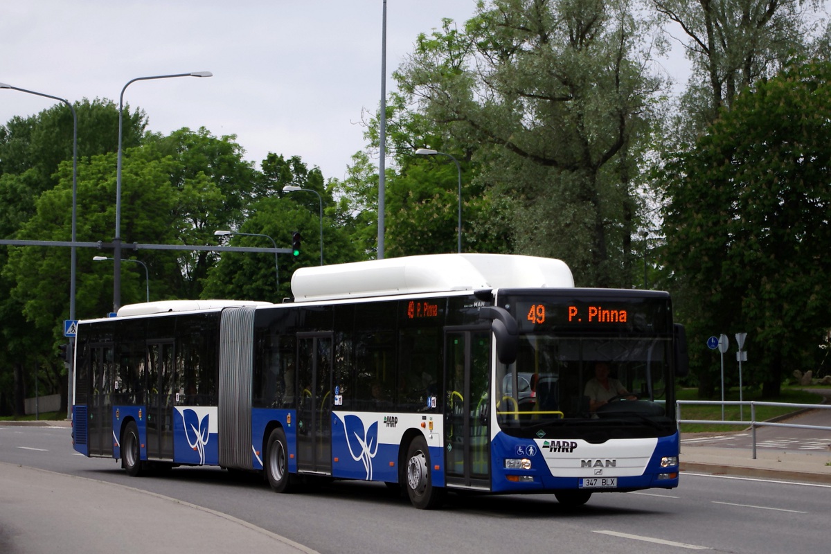 Эстония, MAN A23 Lion's City G NG313 CNG № 347