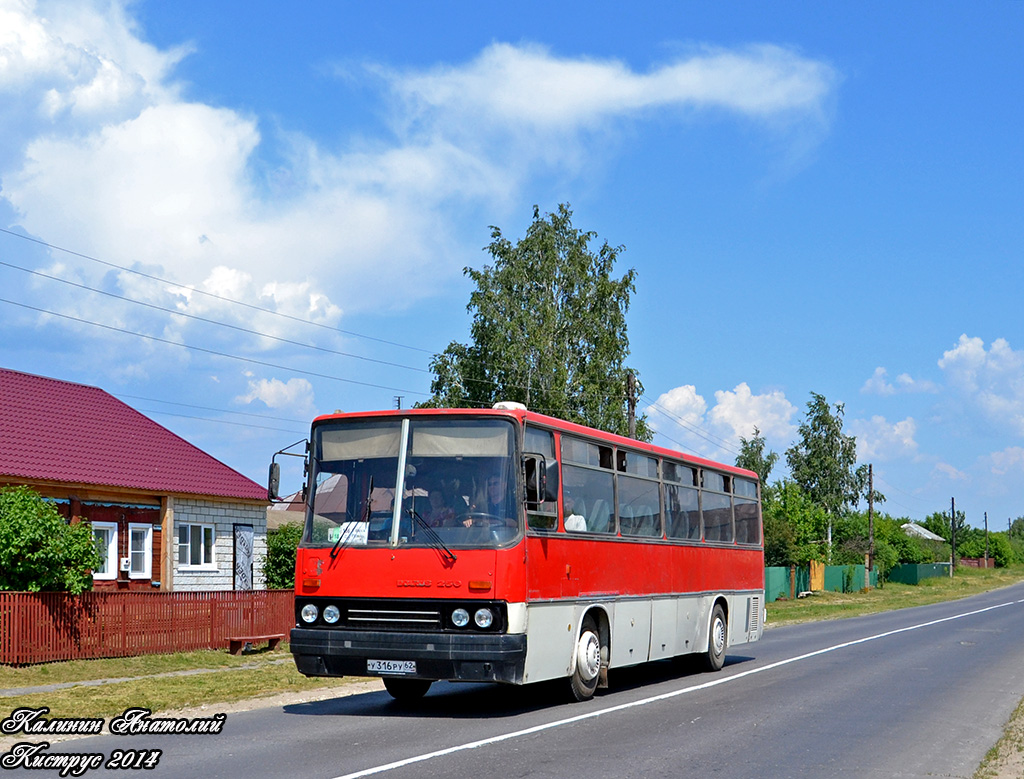 Рязанская область, Ikarus 256.74 № У 316 РУ 62