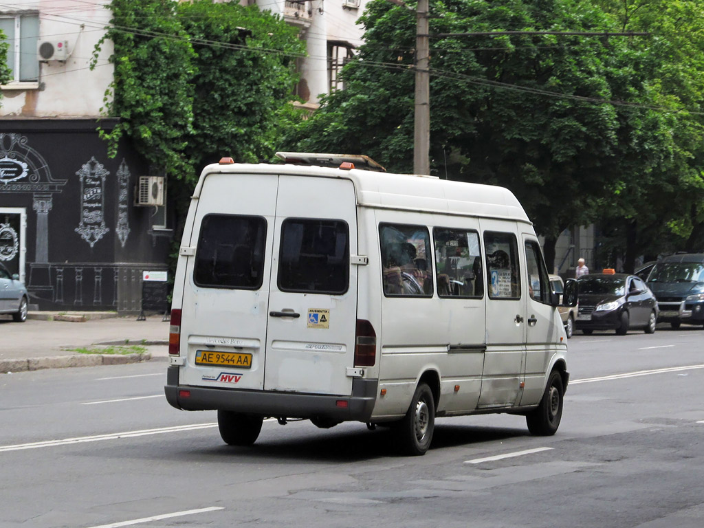 Днепропетровская область, Mercedes-Benz Sprinter W903 310D № AE 9544 AA