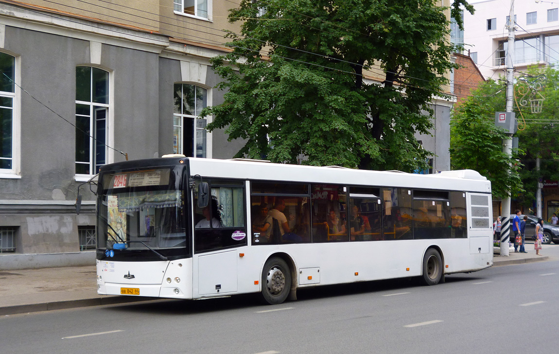 Саратовская область, МАЗ-203.065 № ВВ 842 64