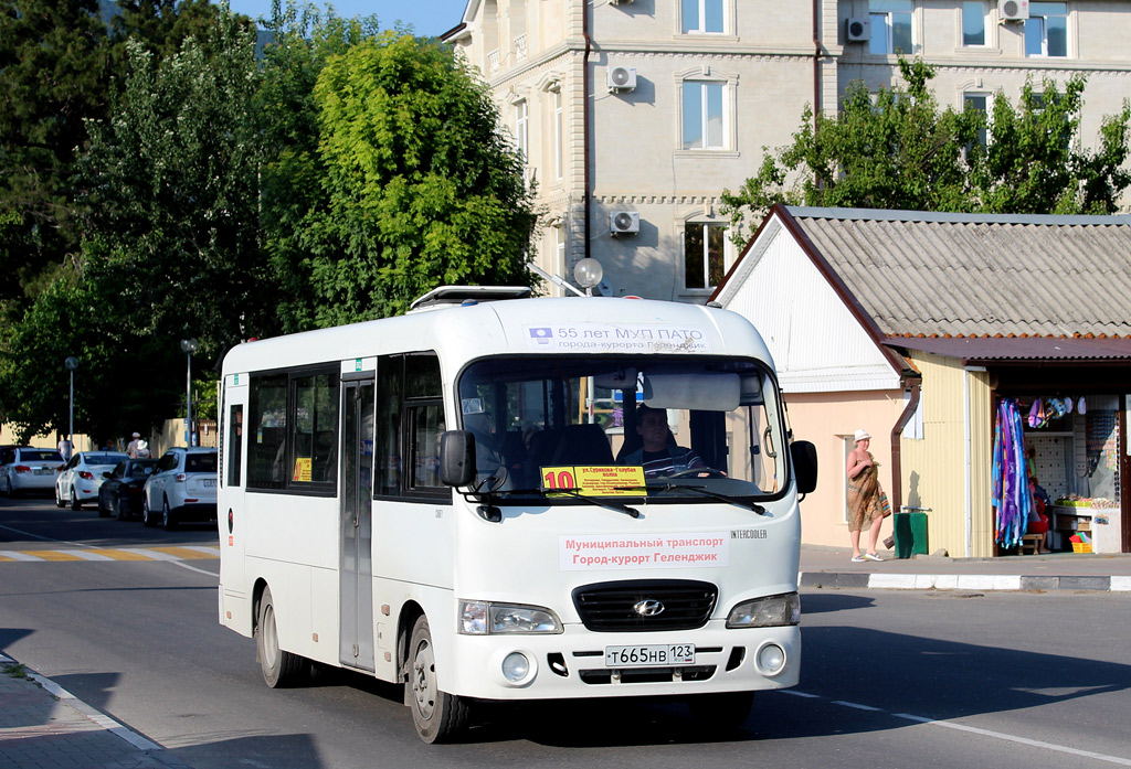 Краснодарский край, Hyundai County LWB C11 (ТагАЗ) № Т 665 НВ 123