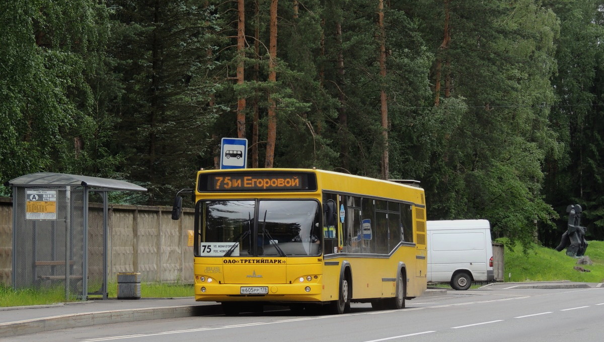 Санкт-Петербург, МАЗ-103.485 № В 605 РР 178