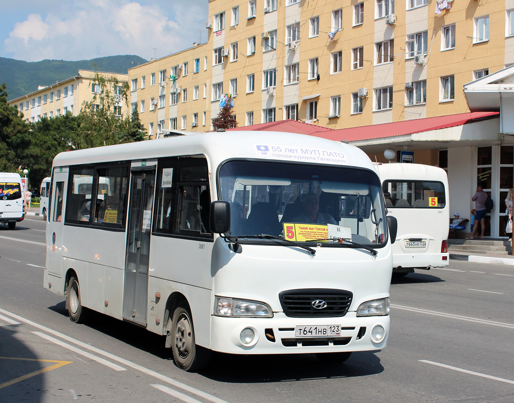 Краснодарский край, Hyundai County LWB C11 (ТагАЗ) № Т 641 НВ 123