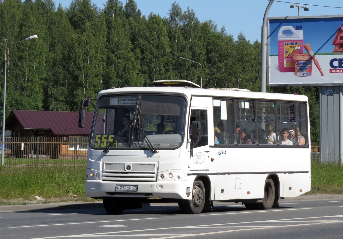 Ленинградская область, ПАЗ-320402-03 № В 239 СМ 47