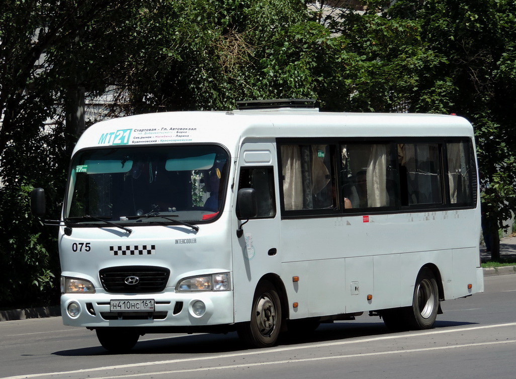 Ростовская область, Hyundai County LWB C09 (ТагАЗ) № 075