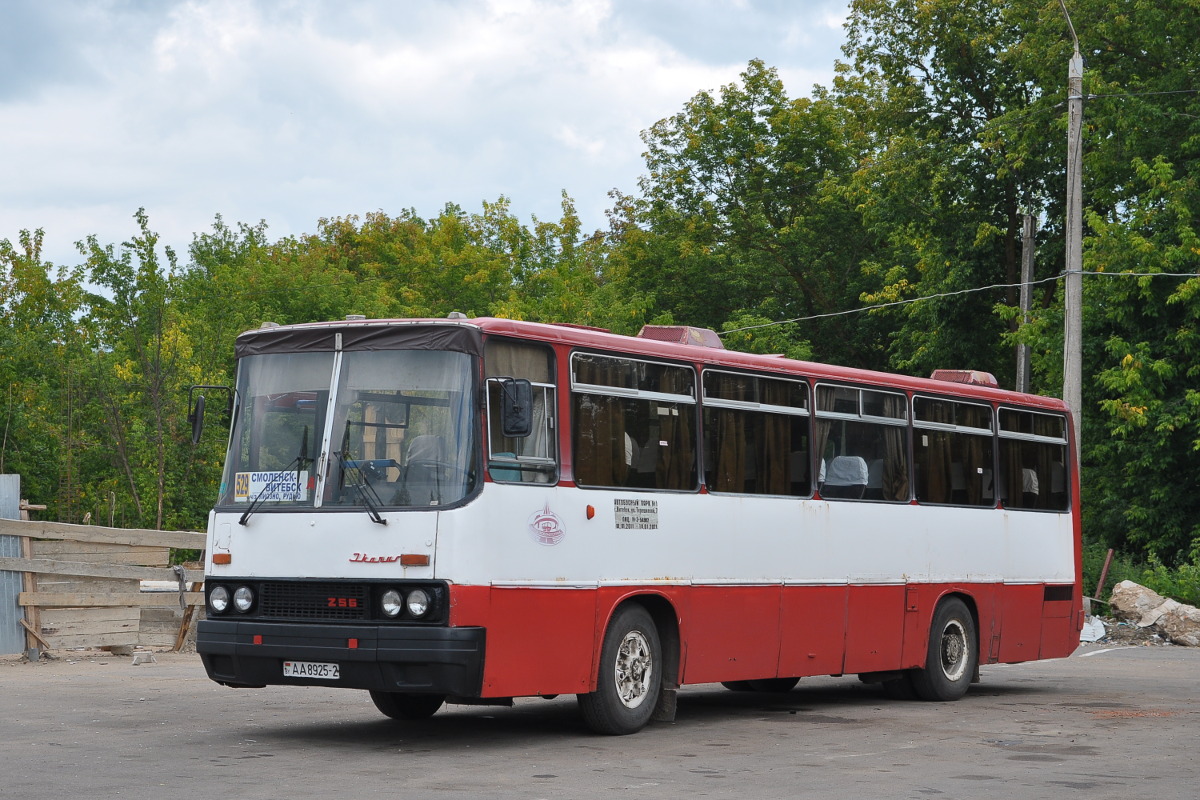 Витебская область, Ikarus 256.75 № 033316