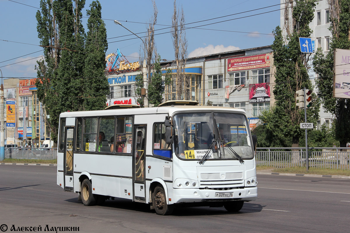 Воронежская область, ПАЗ-320412-03 № Р 339 ХС 36