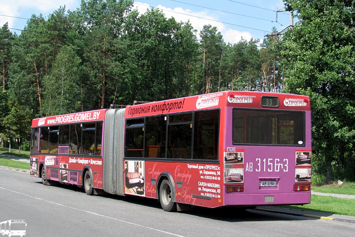 Grodno zippy bus