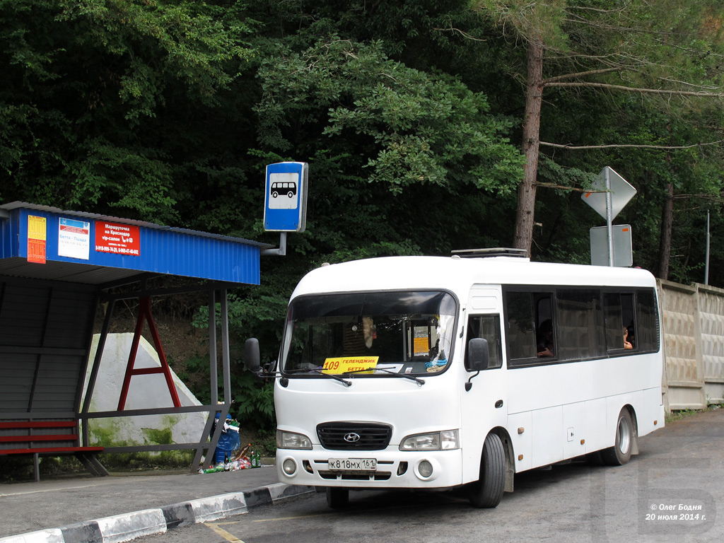 Krasnodar region, Hyundai County LWB (TagAZ) č. К 818 МХ 161