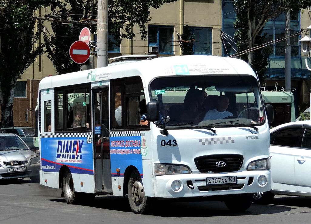 Ростовская область, Hyundai County SWB C08 (ТагАЗ) № 043