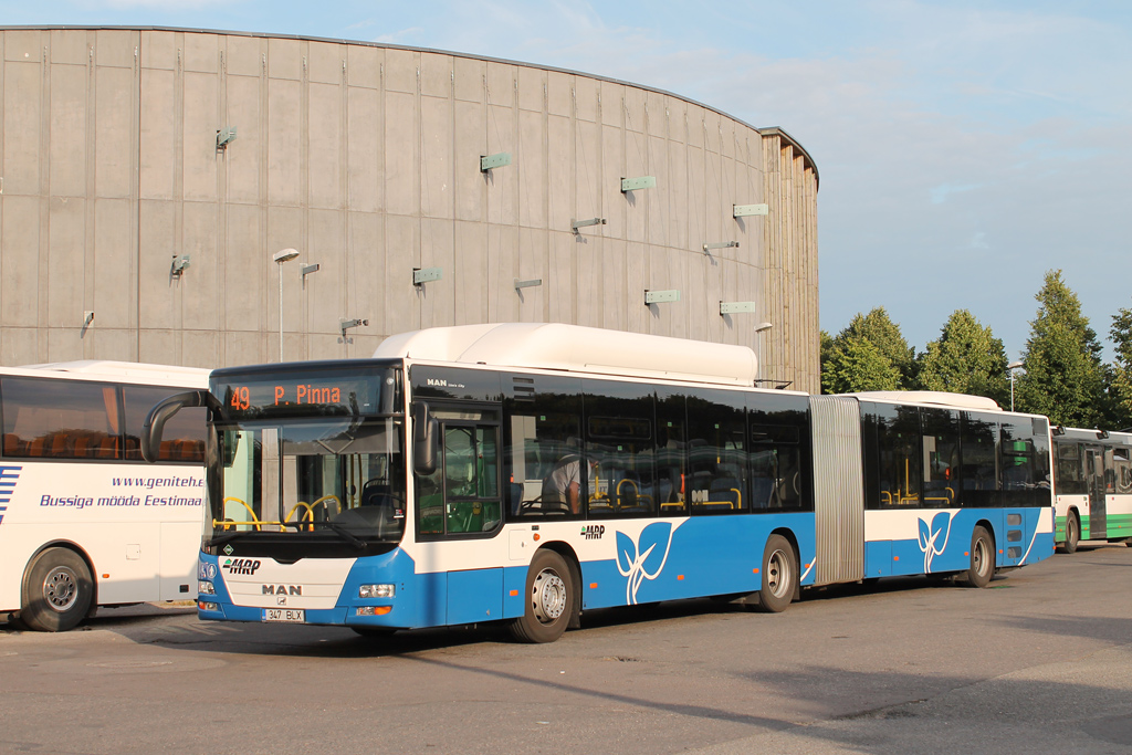 Эстония, MAN A23 Lion's City G NG313 CNG № 347