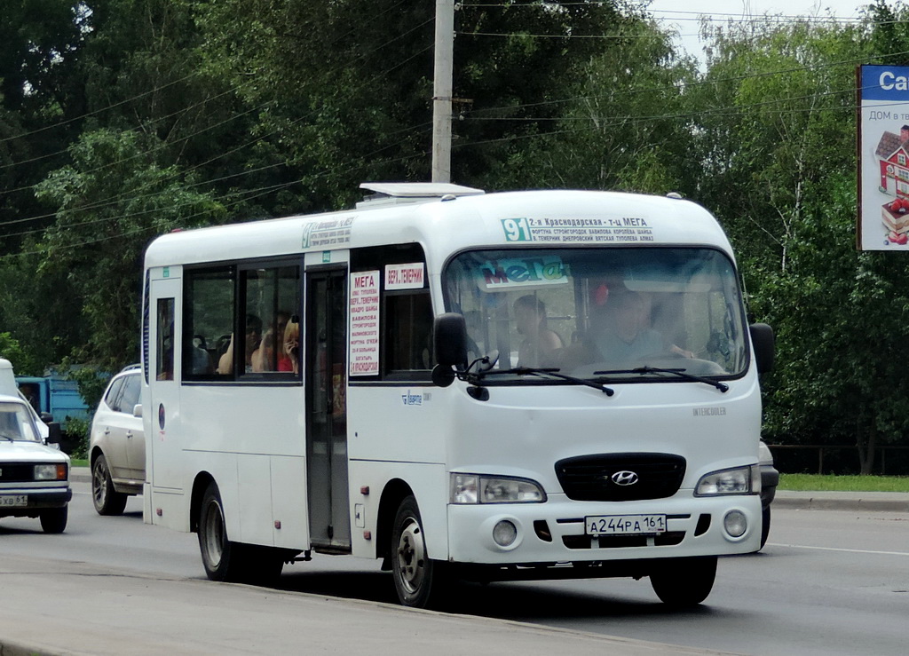 Ростовская область, Hyundai County LWB C09 (ТагАЗ) № А 244 РА 161