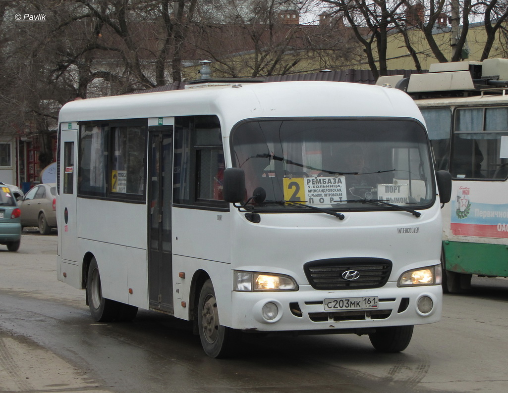 Ростовская область, Hyundai County LWB C09 (ТагАЗ) № С 203 МК 161