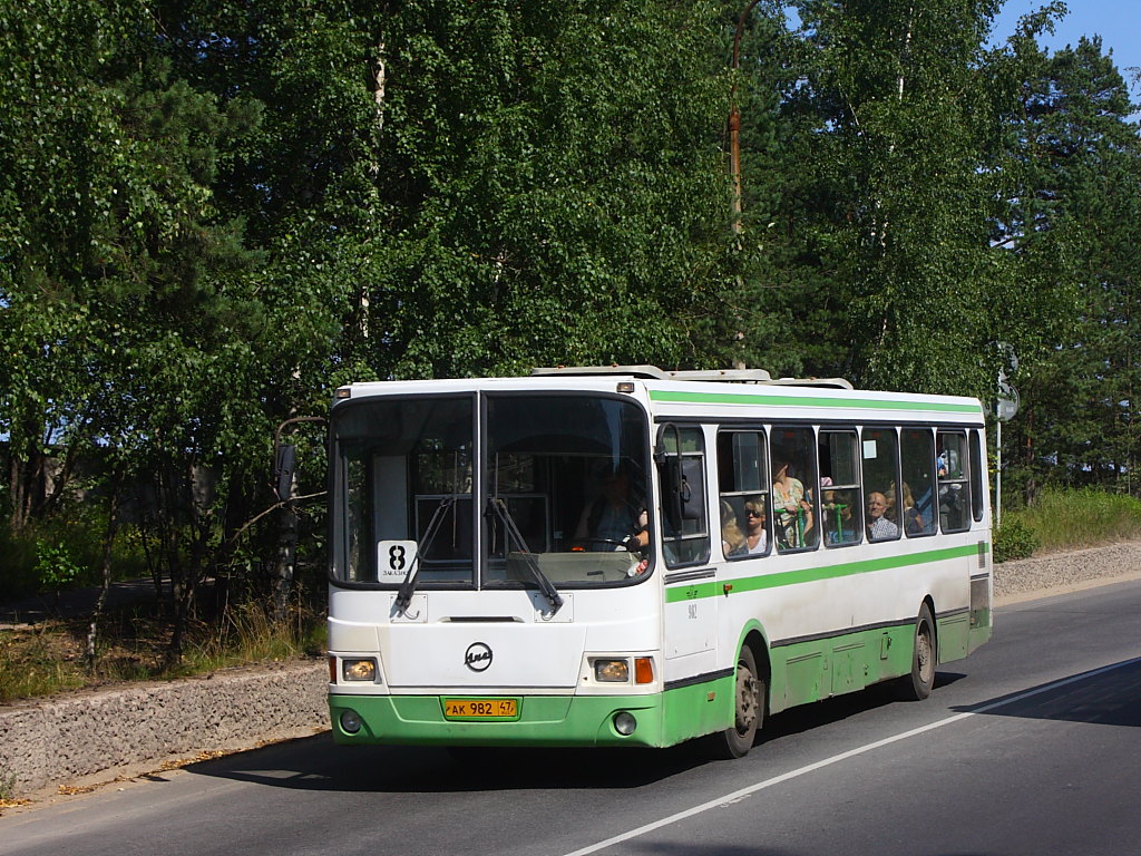 Leningrad region, LiAZ-5256.26 # 982