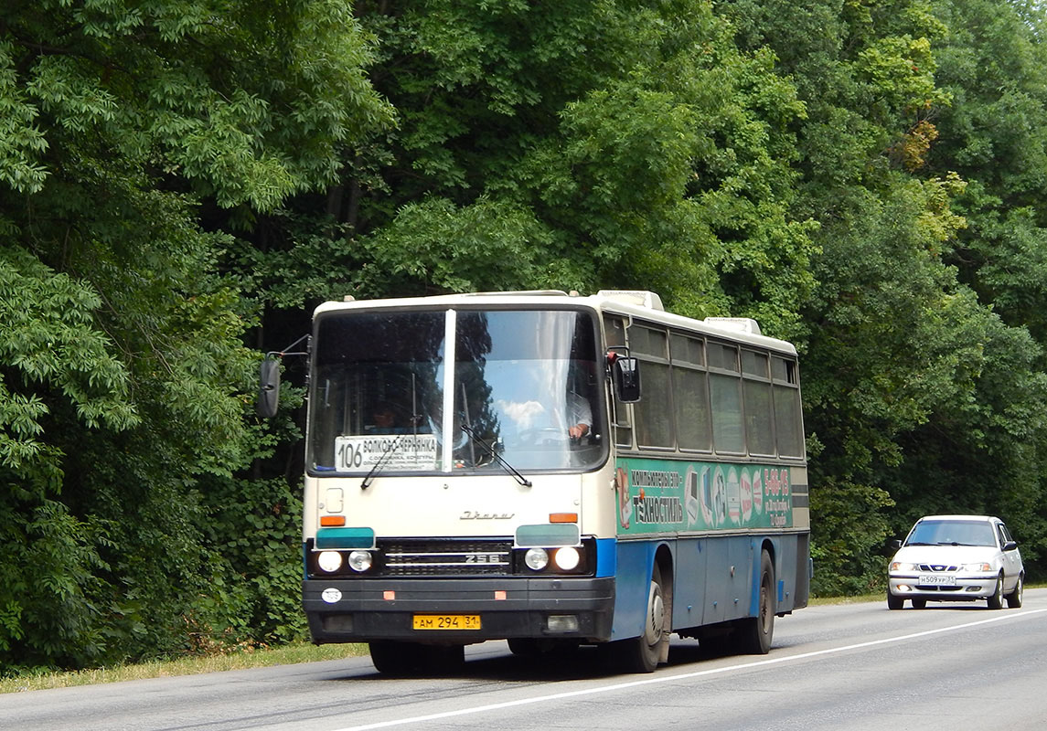 Белгородская область, Ikarus 256.75 № АМ 294 31