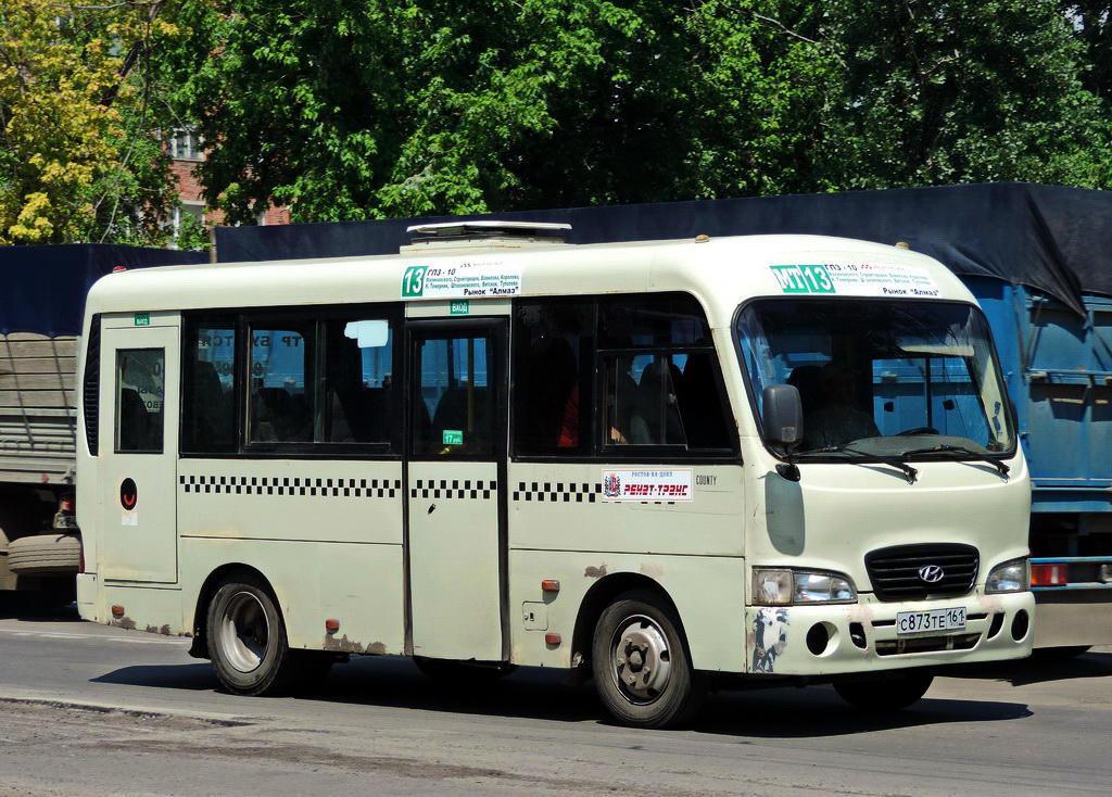 Ростовская область, Hyundai County SWB C08 (РЗГА) № С 873 ТЕ 161