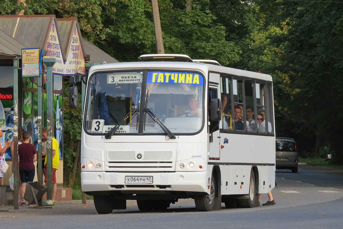 Ленинградская область, ПАЗ-320402-05 № Х 064 РН 47