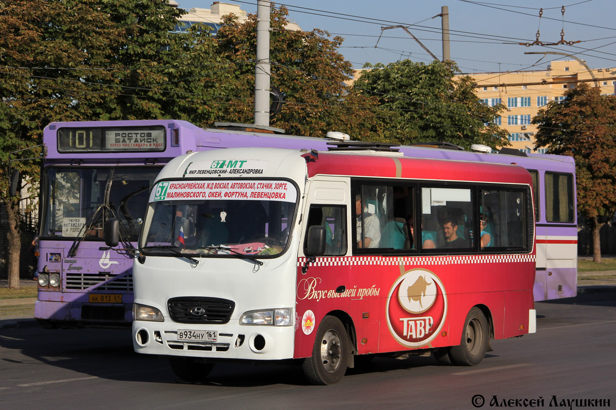 Ростовская область, Hyundai County SWB C08 (ТагАЗ) № 00748