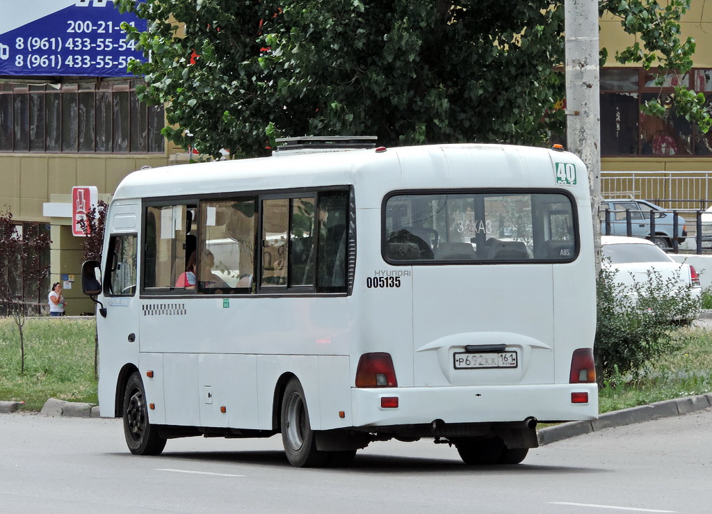 Ростовская область, Hyundai County LWB C10 (ТагАЗ) № 005135