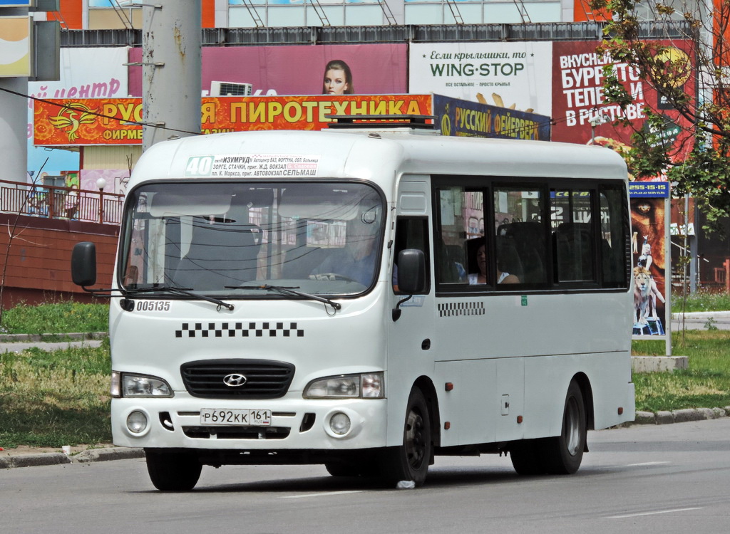 Ростовская область, Hyundai County LWB C10 (ТагАЗ) № 005135